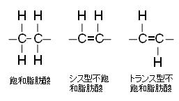 トランス脂肪酸の分子構造