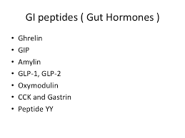 消化管ホルモンの種類を列記した図
