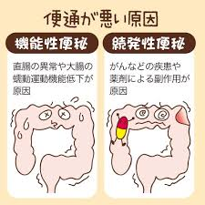 大腸の動きが悪い機能性便秘　別の病気が原因の続発性便秘の説明図