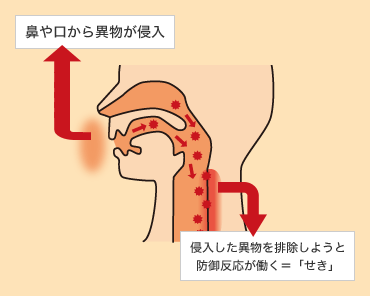 異物排除の反応としての咳を説明する図