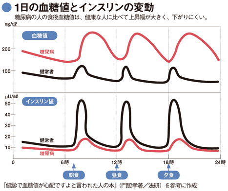 1日の血糖値　インスリン分泌の動きを示したグラフ