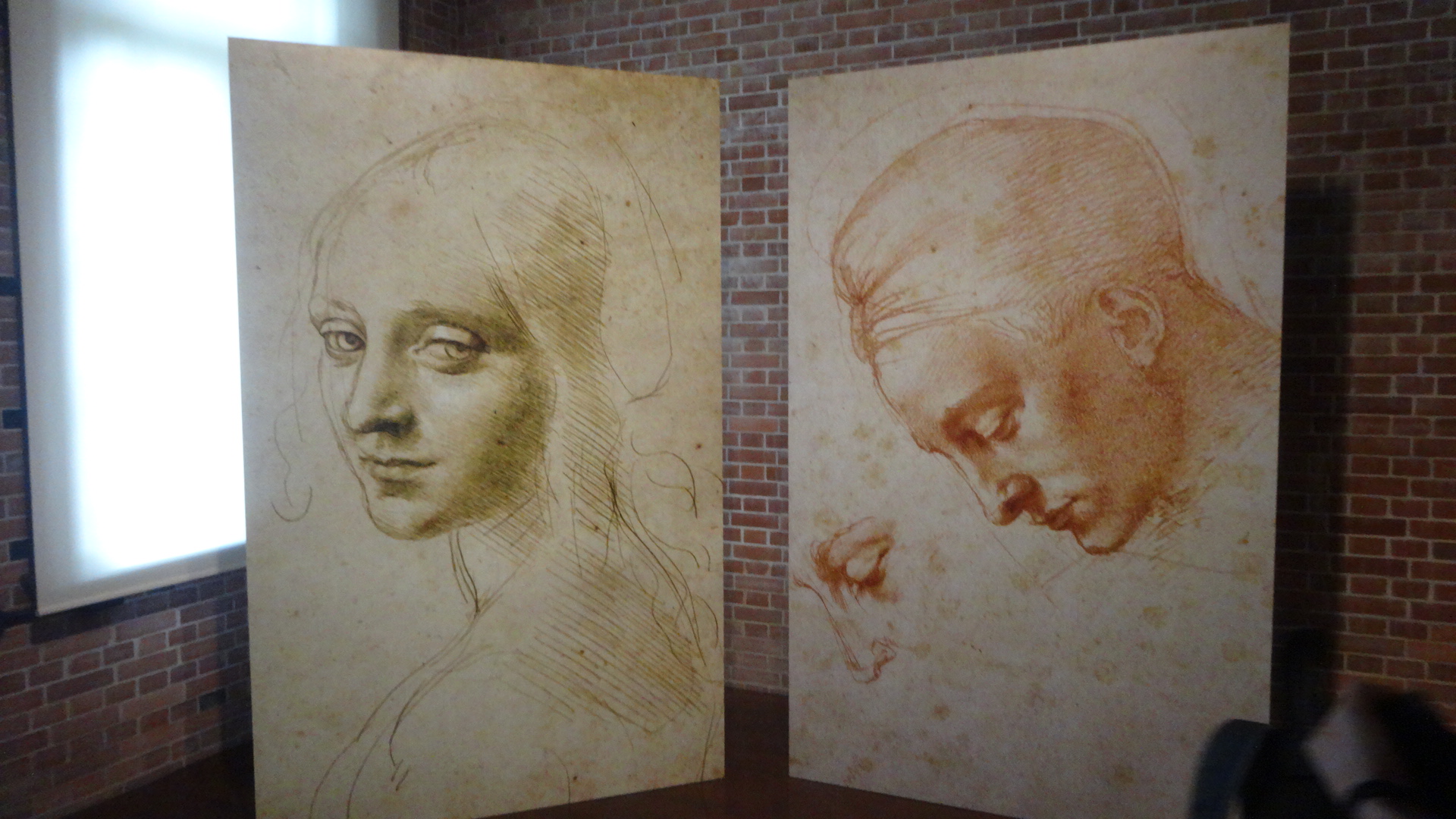 ダヴィンチの自画像　と
ミケランジェロの「レダと白鳥」の頭部のための習作