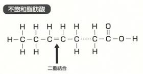 不飽和脂肪酸の構造図