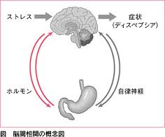 脳腸相関の概念を説明した図