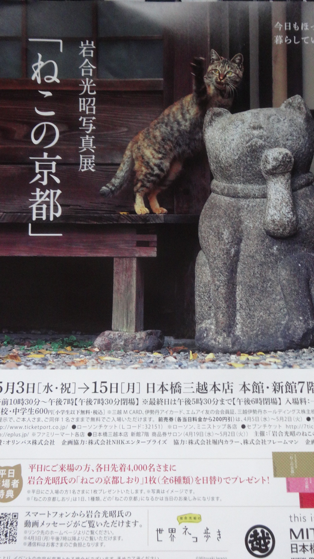 ねこの京都の四季 の写真展のポスター