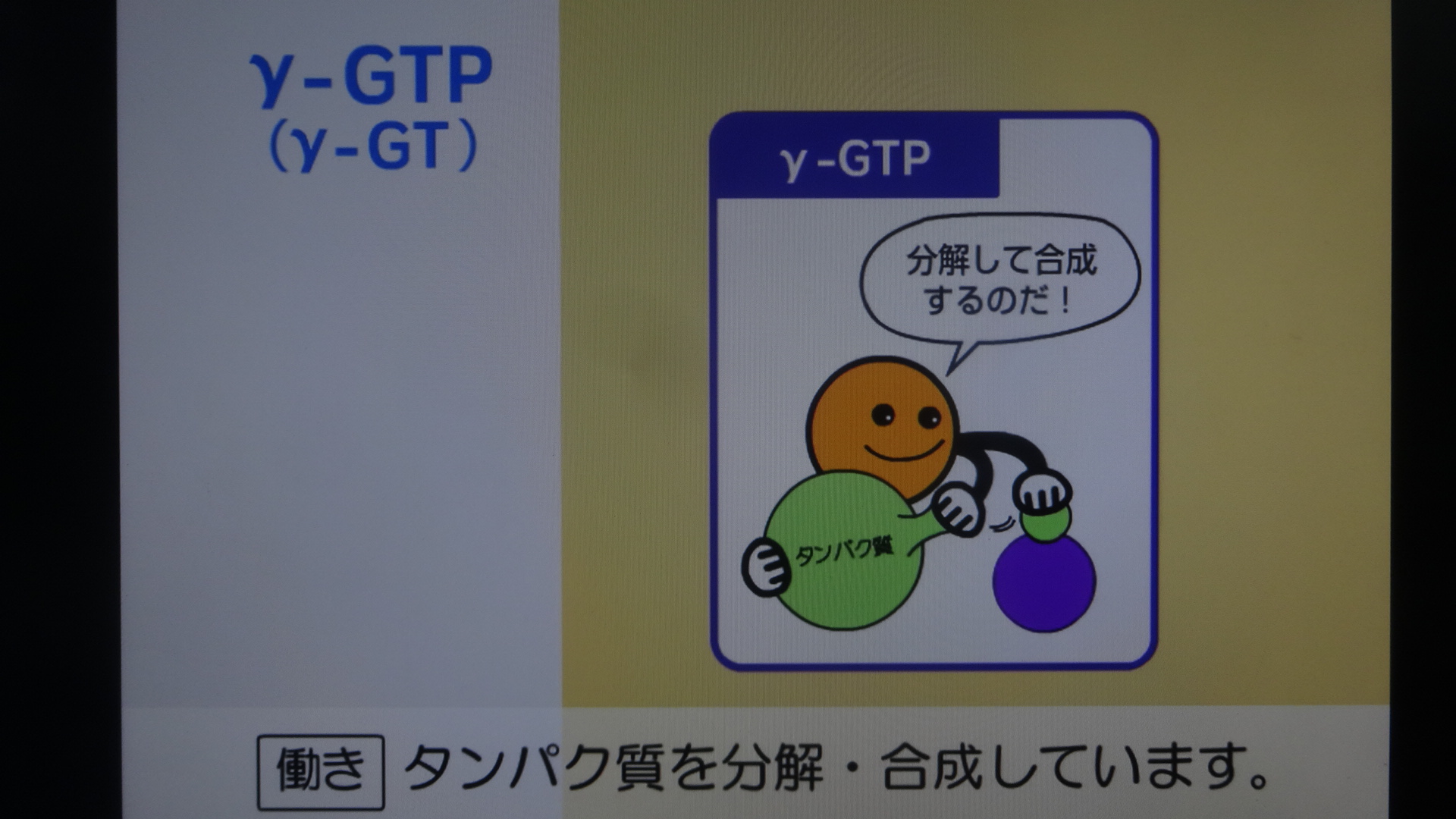 γGTPの働きを示した図