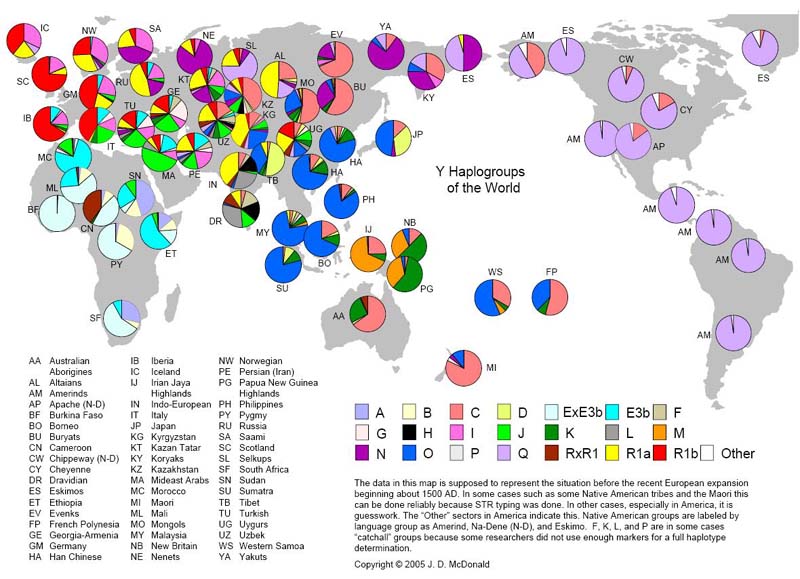 Y染色体の遺伝子タイプの分布を示す世界地図