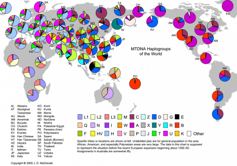 ミトコンドリアDNAの遺伝子タイプの分布を示す世界地図