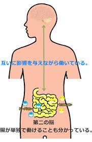 腸は第2の脳であることを説明する図