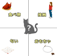 ネコは　人との接触　食べ物　おもちゃ　匂い　のどれが好きか？　と尋ねている図