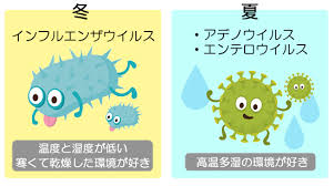 夏はエンテロウイルス　アデノウイルスが多いことを示す図