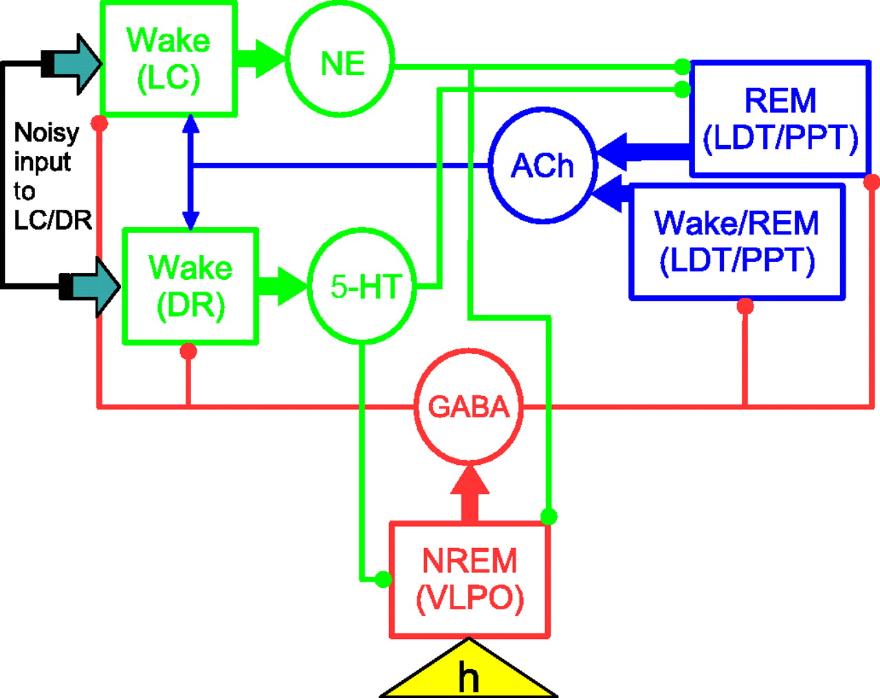 覚醒のモノアミン・アセチルコリン系　睡眠のGABA系の相互作用を示す図