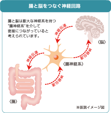 脳腸相関を説明する図２
