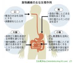 胃　小腸での食物繊維の働きをまとめた図