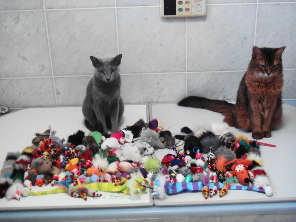 お風呂の蓋の上のたくさんのネズミのおもちゃとローズとデイジー