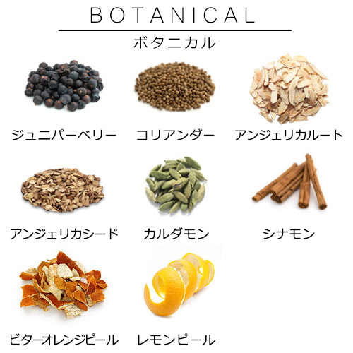 いろいろな種類のボタニカル1