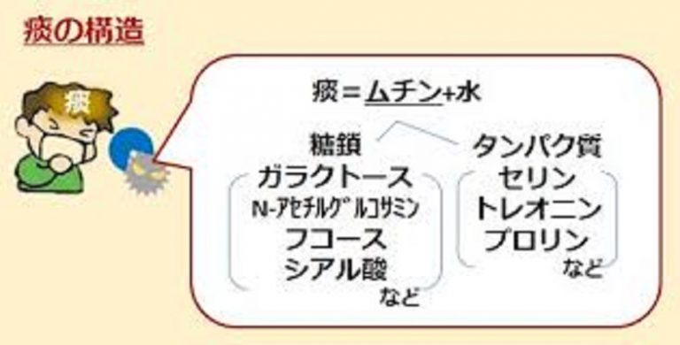 痰はなぜ生じるか | 高橋医院