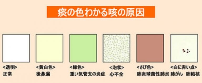 便中の痰：それは何でしょうか?