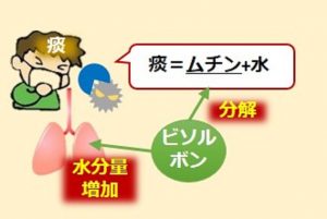 痰を見てわかること 痰の治療 | 高橋医院