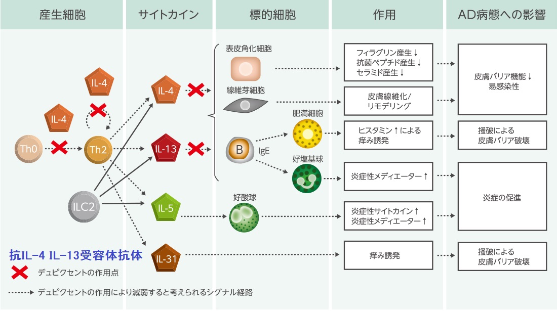 喘息の合併症を避ける方法をご覧ください