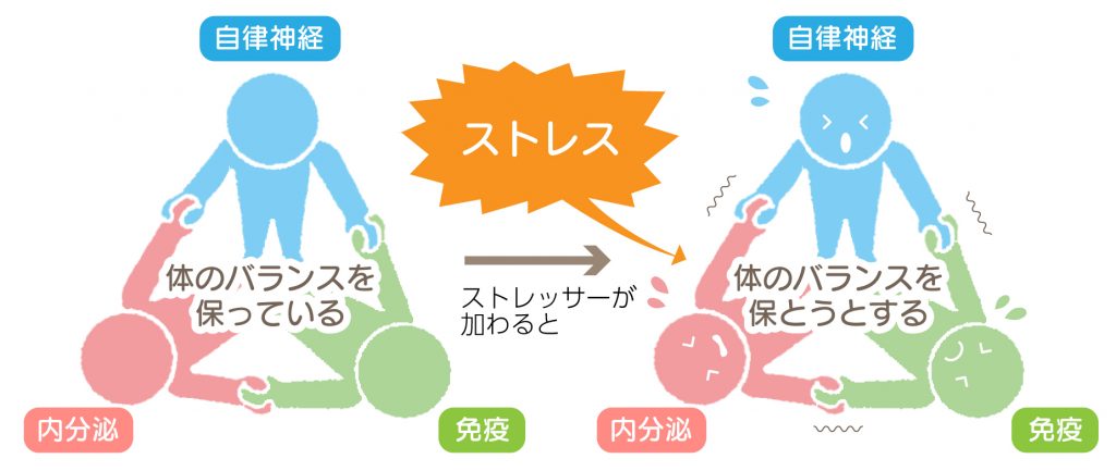 しかし、本当に食事はホルモンバランスに影響を与えるのでしょうか?