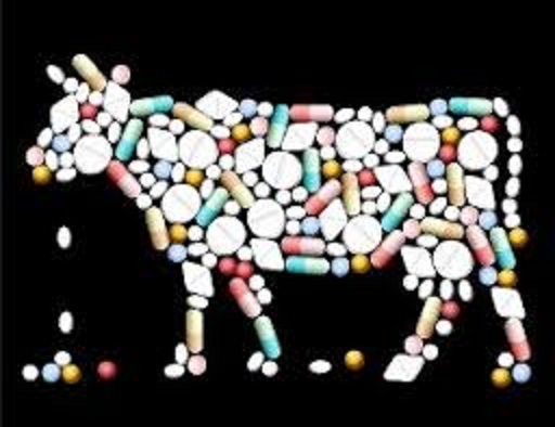 牛や鶏に与えられている抗生物質