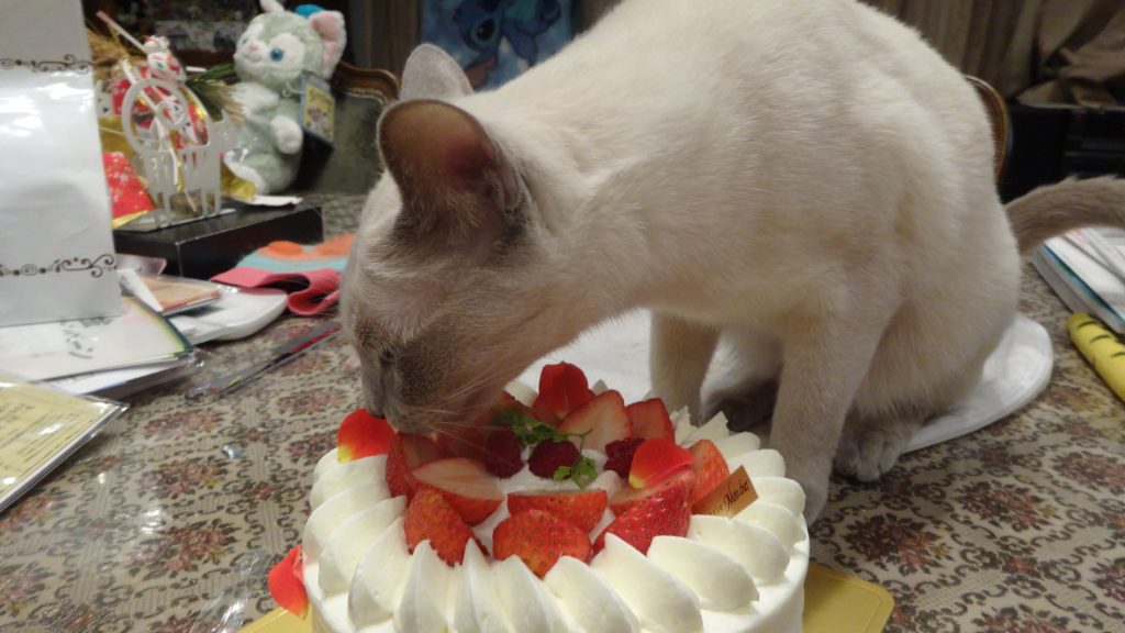 ケーキを舐める楓