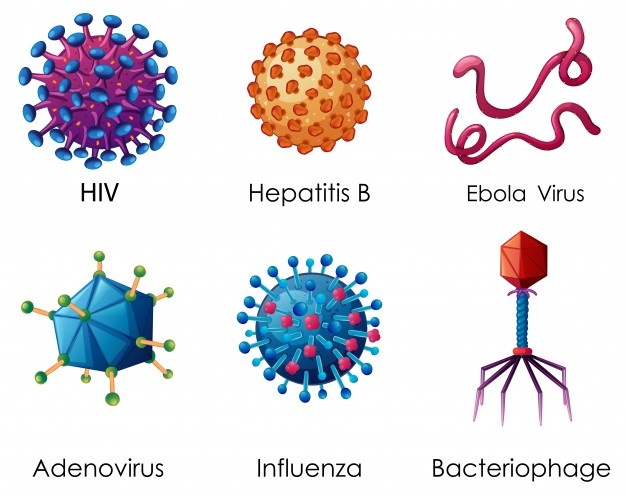 さまざまなウイルスの形を示す図