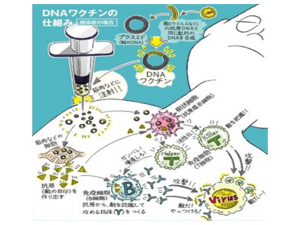 様々な物質のDNAも組み込んだワクチンの説明図