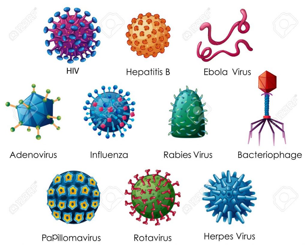 ヒトに感染するさまざまなウイルス