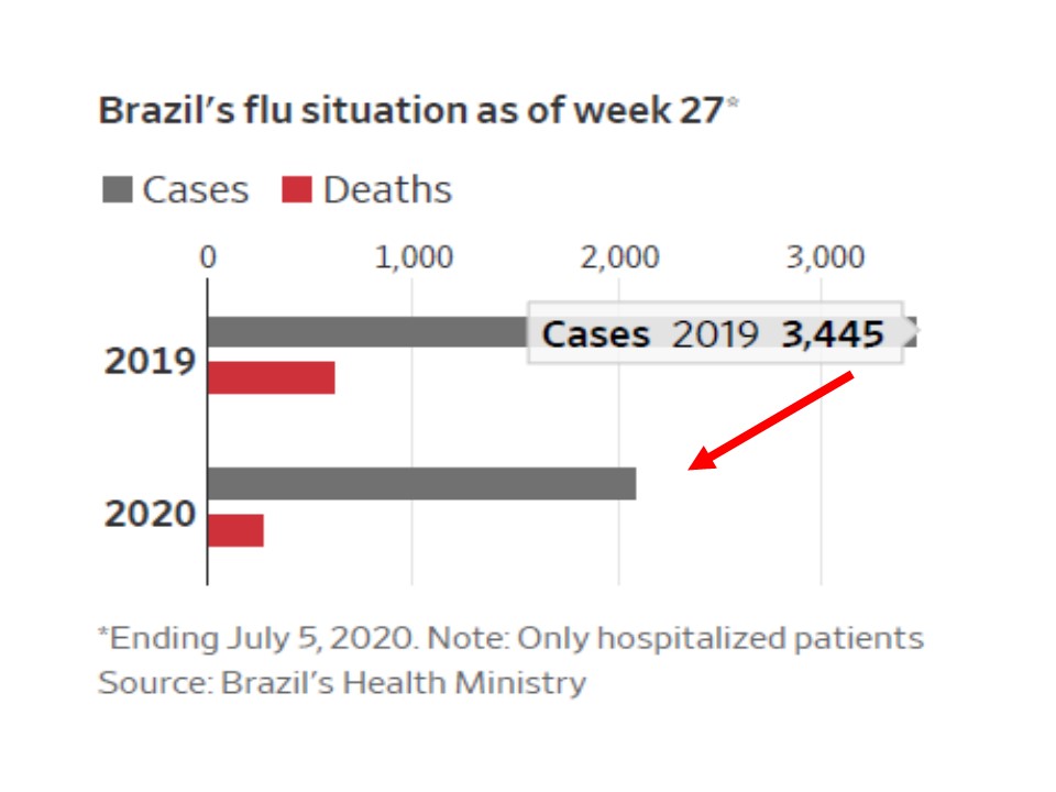 ブラジルでインフルエンザ患者　死者数が減少していることを示すグラフ