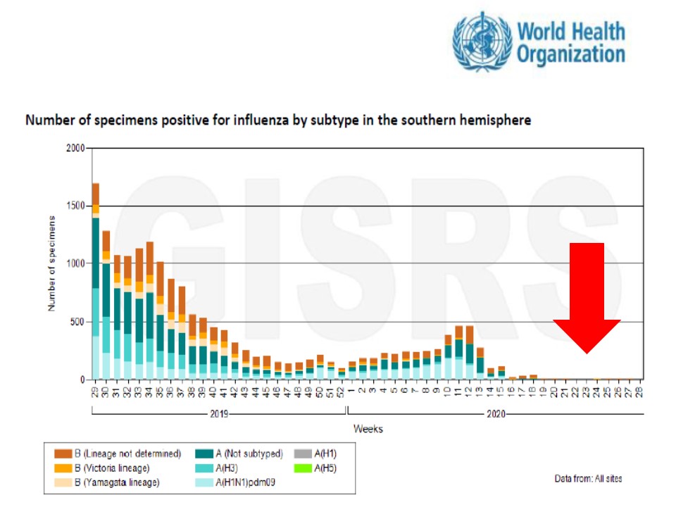 南半球のインフルエンザ報告数の激減を示すWHOのインフルエンザレポートの表