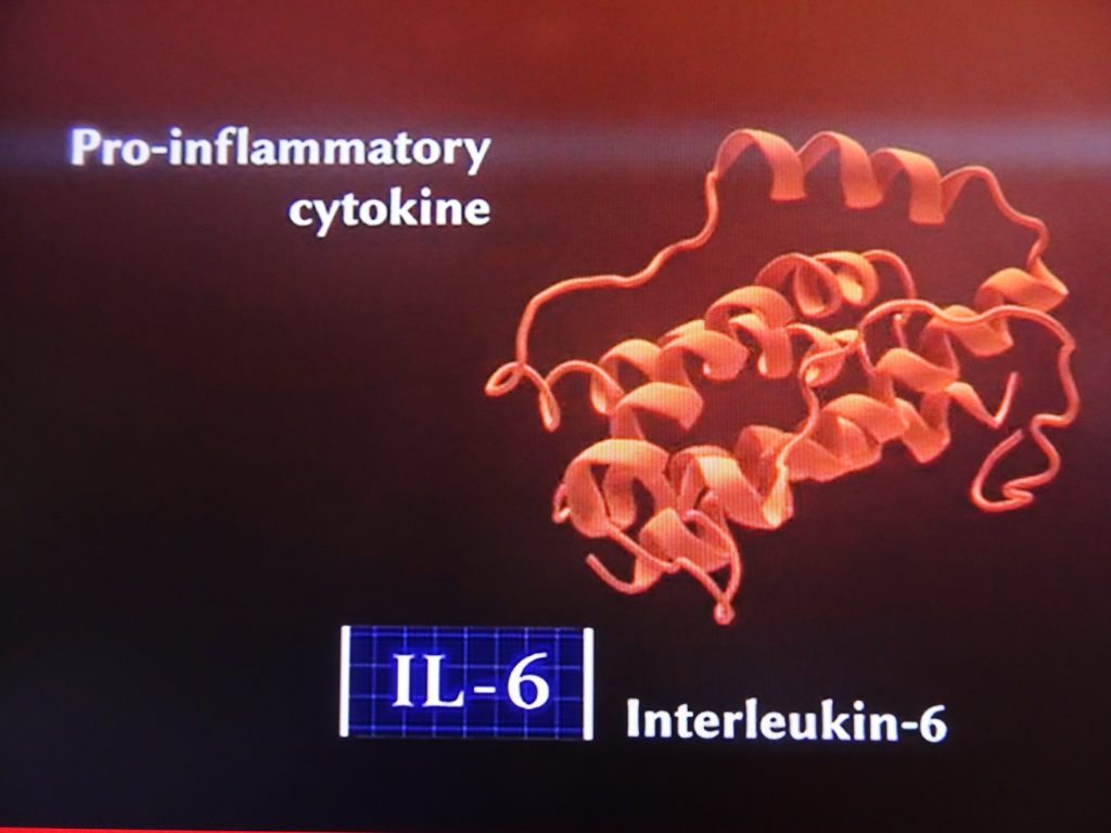 IL-6について説明する図