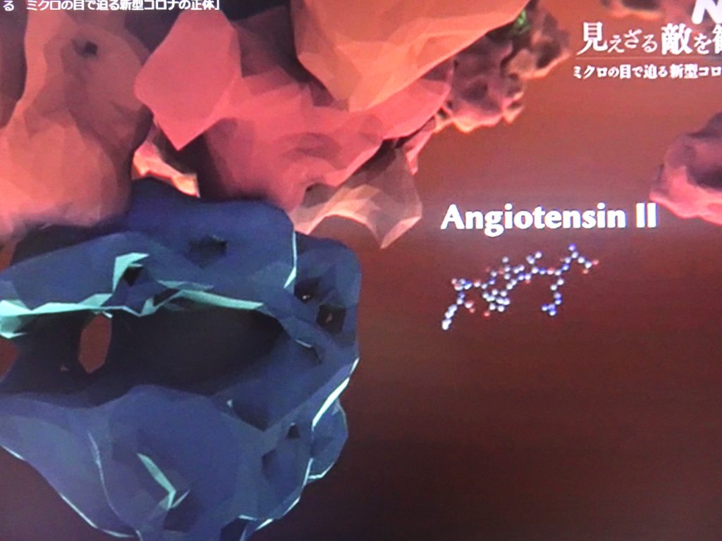 ACE2がアンギオテンシンⅡの分解をしなくなることを示す図