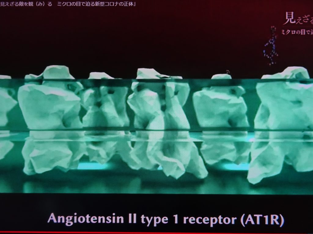 アンギオテンシンⅡのアンギオテンシンⅡタイプ1受容体への結合を示す図