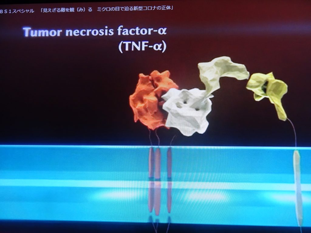 細胞表面のTNF受容体の切断を示す図