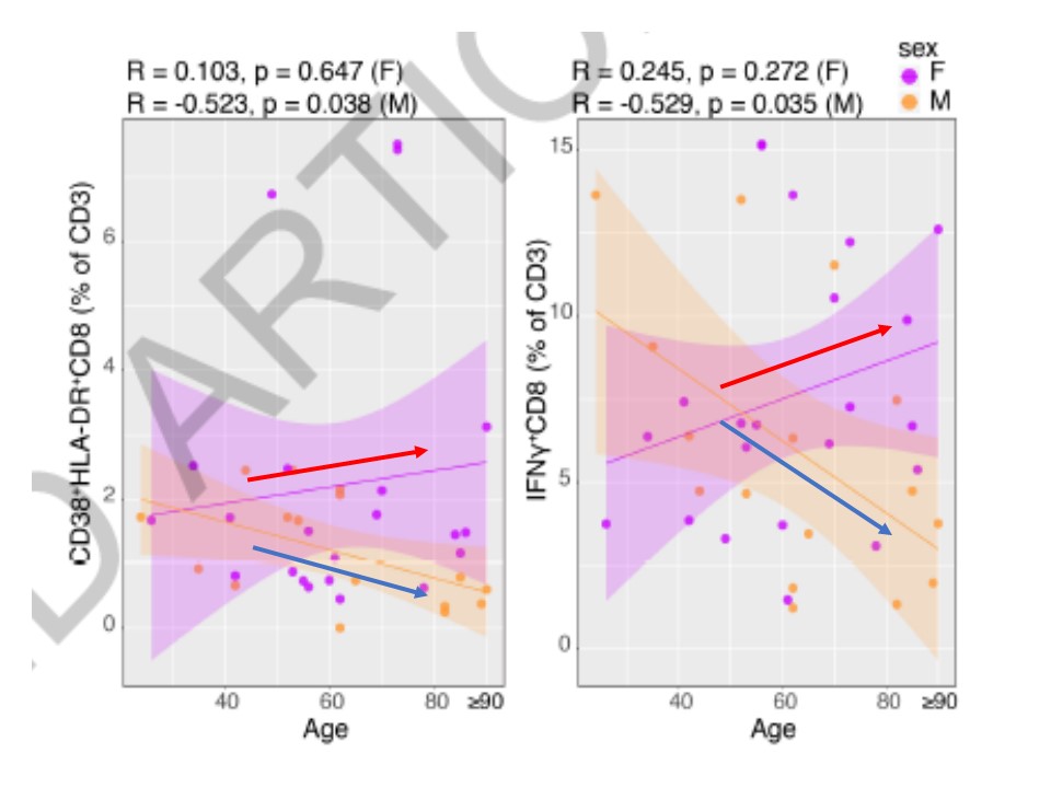 専門家に相談する
