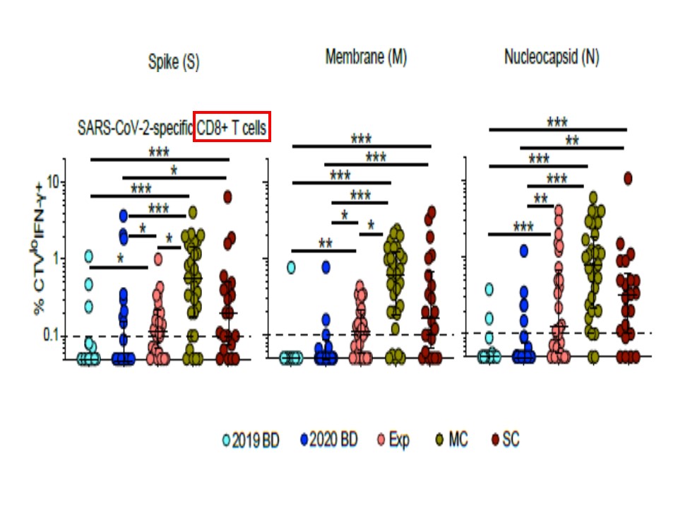 CD8陽性Tリンパ球の反応性を示すグラフ