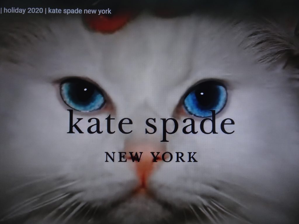 Kate spadeの動画に出るネコ