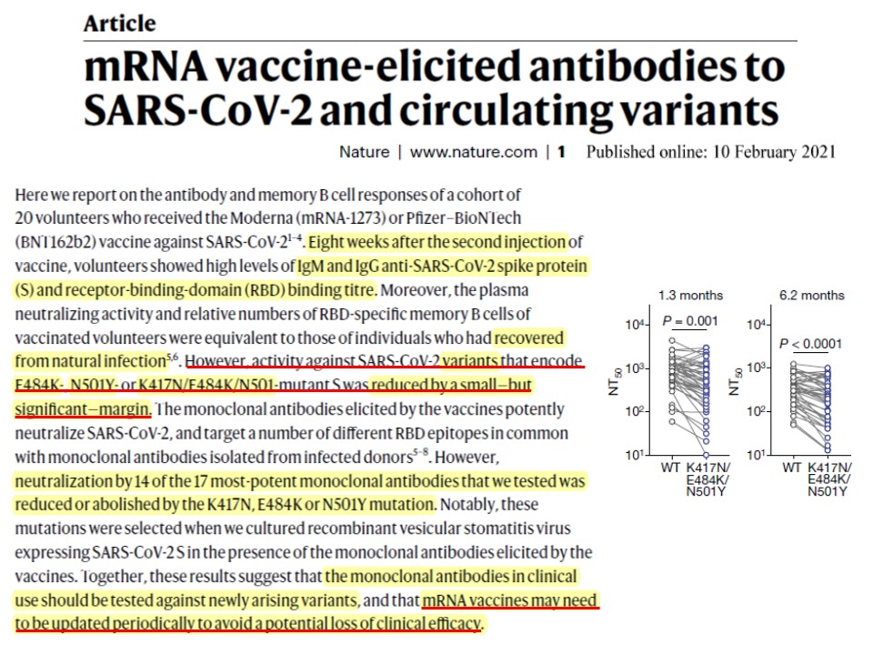 E484K変異を含む何種類かの変異を有するウイルスには現在接種されているワクチンで体内に出来た抗体の効果が低下することを示したNatureの論文