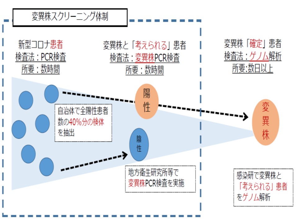 日本における変異株スクリーニング体制を示す図