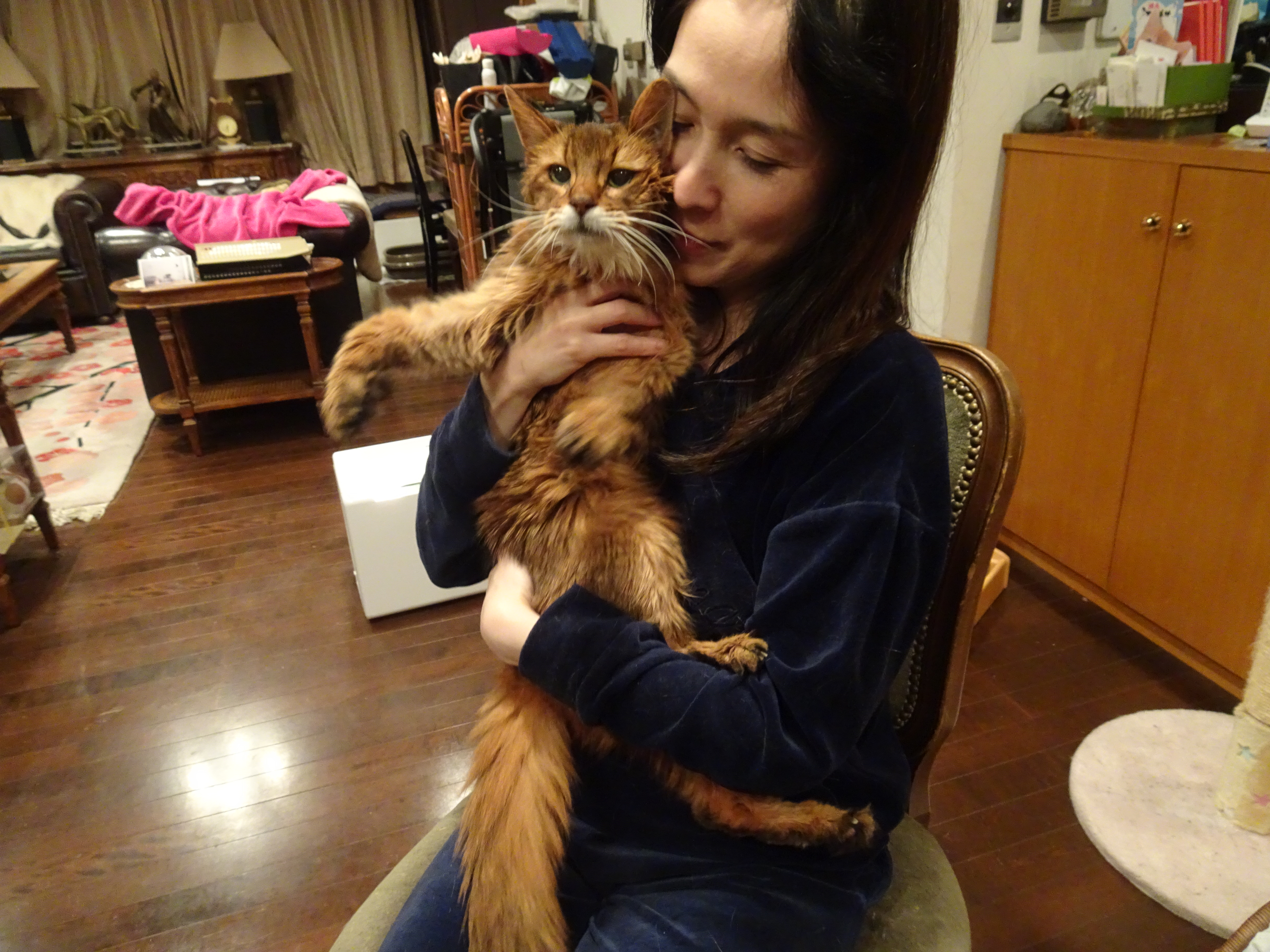 白血球減少