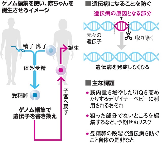 ゲノム編集による進化への介入の危険性を示す図