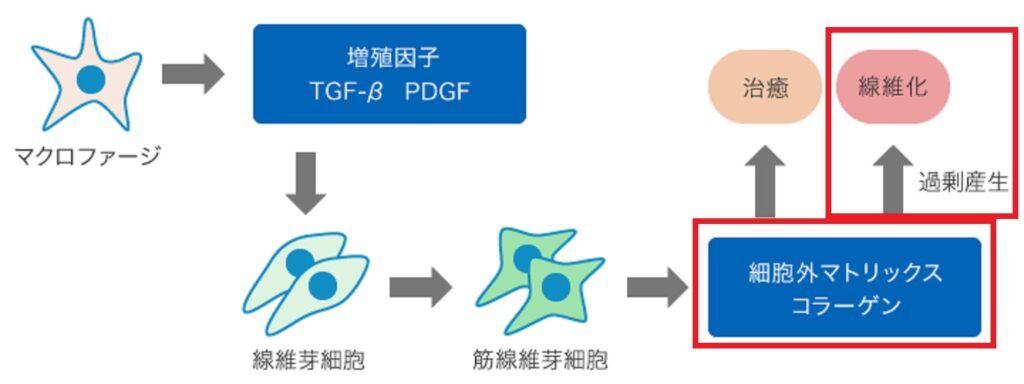 残存胃前庭症候群