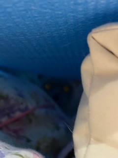 そこでしたか