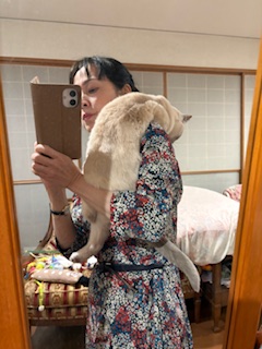 かたのり