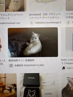 シュペットちゃん
