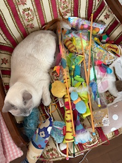 おもちゃ置き場