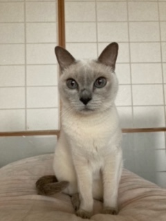 今年もお世話になりました