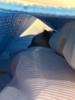 お昼間の過ごし方